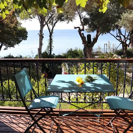 Seafront Studio Διαμέρισμα Ελιά